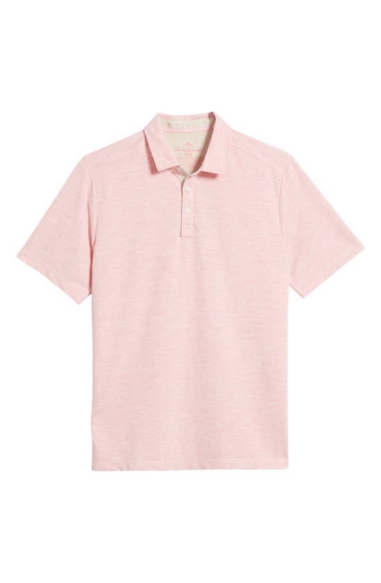 Shop Tommy Bahama New Coasta Vera Solid Polo In Pink Confetti