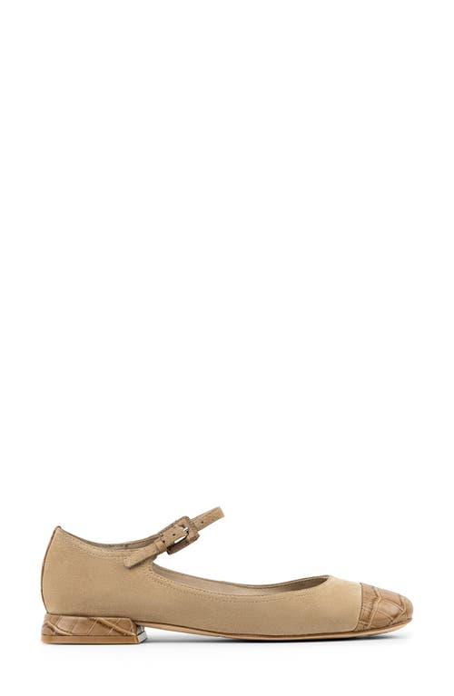 Shop Donald Pliner Larro Cap Toe Mary Jane Flat In Tobacco