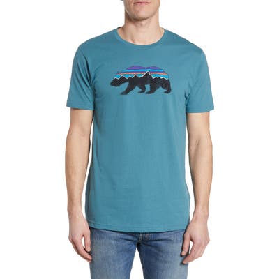 Patagonia Fitz Roy Bear Organic Cotton Crewneck T-Shirt