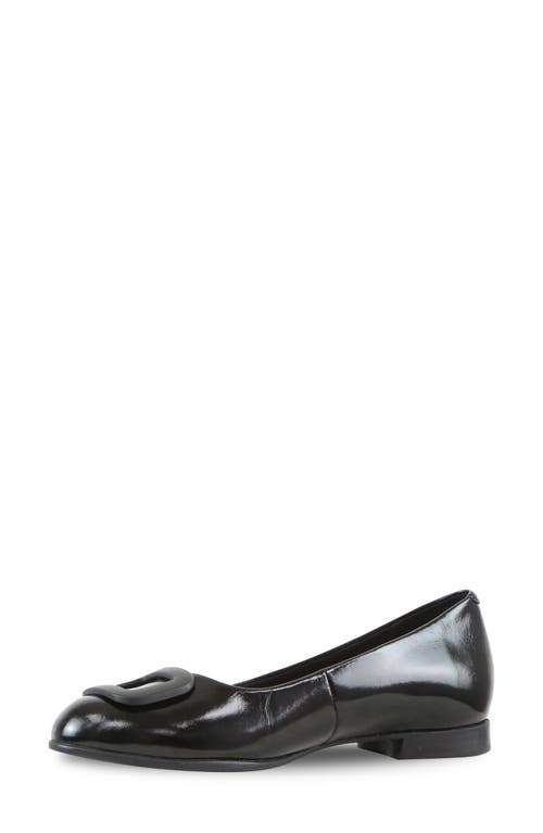 Shop Munro Gianna Buckle Flat In Black