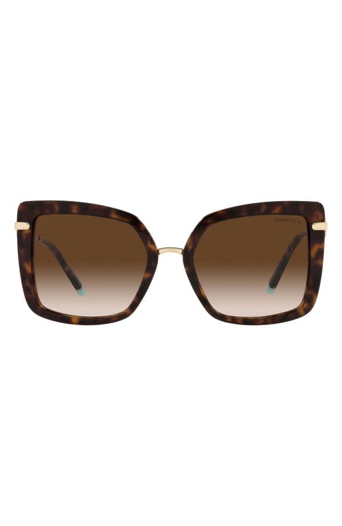Tiffany & Co . 54mm Square Sunglasses In Havana/gradient Brown