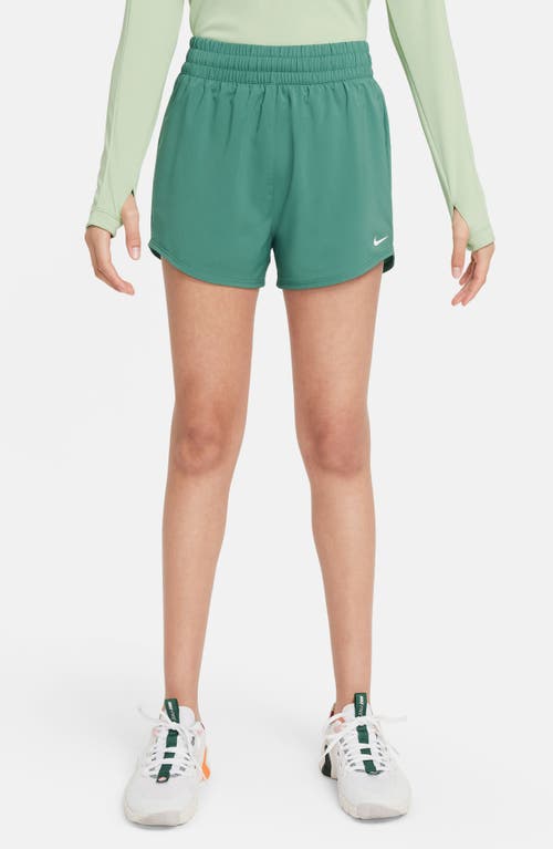 Shop Nike Kids' Dri-fit One Training Shorts In Bicoastal/white