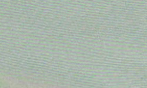 Original Paperbacks Walden Chino Shorts In Lightgreen