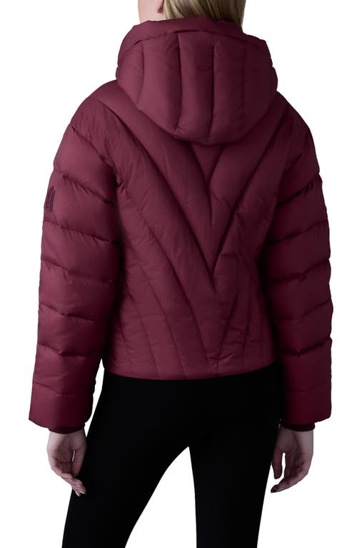 Shop Mackage Hope 750 Fill Power Down Puffer Jacket In Garnet