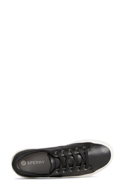 Sperry Sandy Wave Sneaker In Black