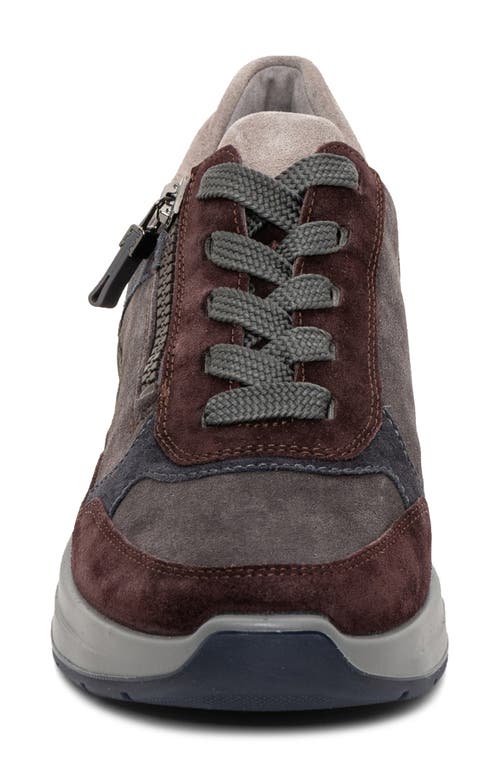 Ara Gardenia Sneaker In Brown