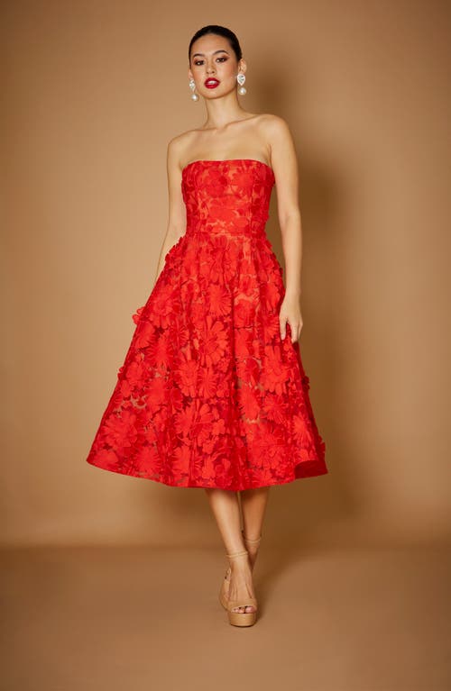 Shop Helsi Florence Floral Appliqué Strapless Midi Dress In Poppy