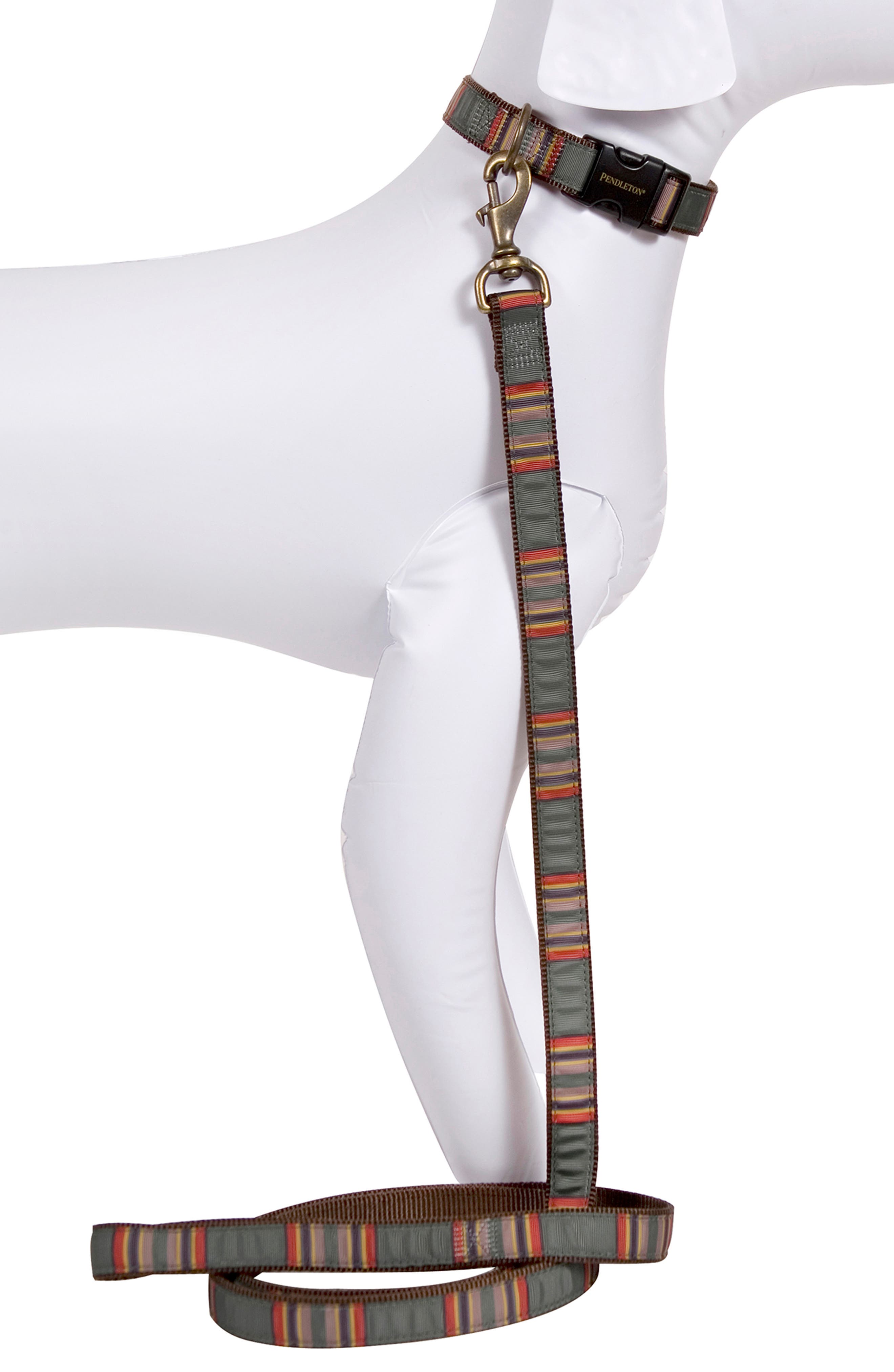 pendleton leash