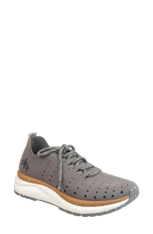 Alstead Perforated Sneaker in Grey