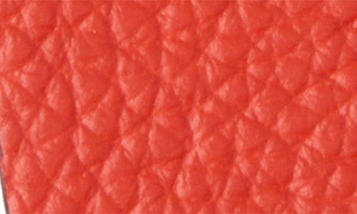Mulberry Shrimp Puzzle Key Ring In Coral Orange