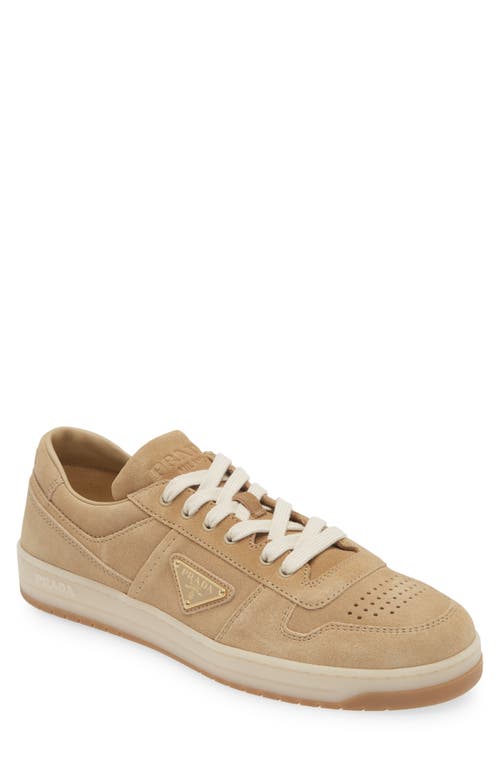 Shop Prada Downtown Sneaker In Ecru