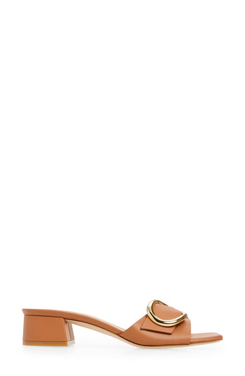 Shop Stuart Weitzman Benni 35 Slide Sandal In Tan