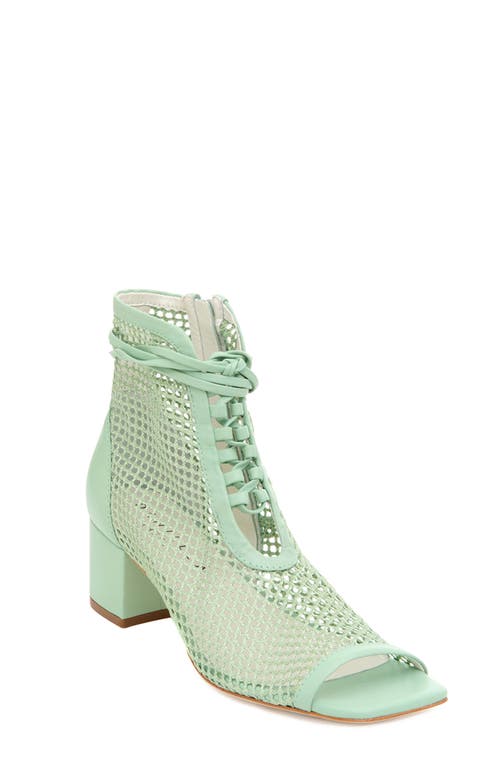 Shop Daniella Shevel Nola Bootie In Mint