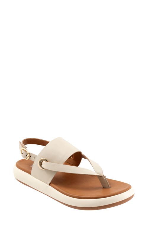 SoftWalk Joliet Slingback Sandal at Nordstrom