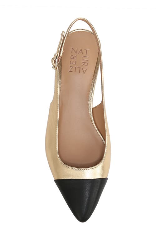 NATURALIZER NATURALIZER BANKS POINTED TOE SLINGBACK PUMP