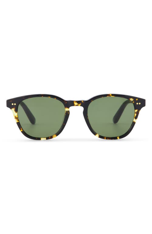 TOMS Wyatt Small 49mm Round Sunglasses in Havana Tortoise/Bottle Green 