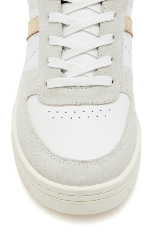 Shop Allsaints Vix Low Top Sneaker In White/gold