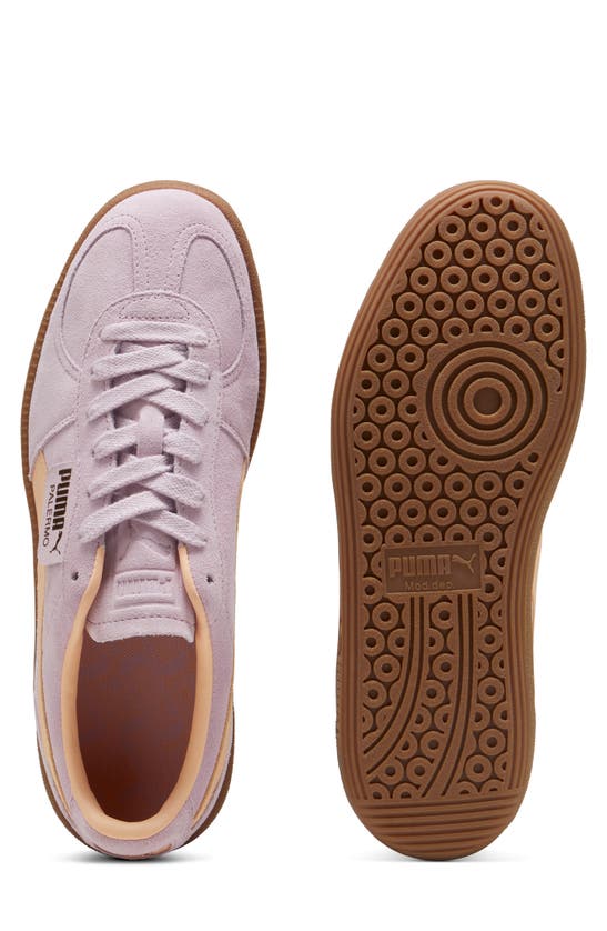 Puma Palermo Sneaker In Grape Mist-peach Fizz