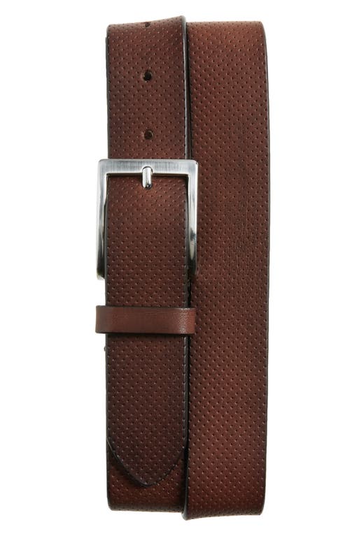 Perforated Leather Belt in Nevada Tmoro