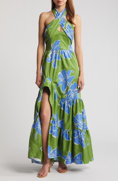 Floral Stretch Cotton Halter Maxi Dress in Green Floral