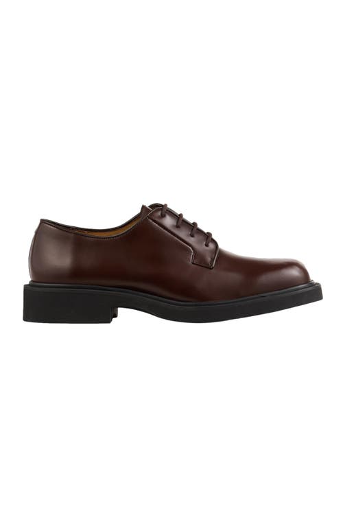 Shop Sandro Patent Leather Derbies In Black Brown