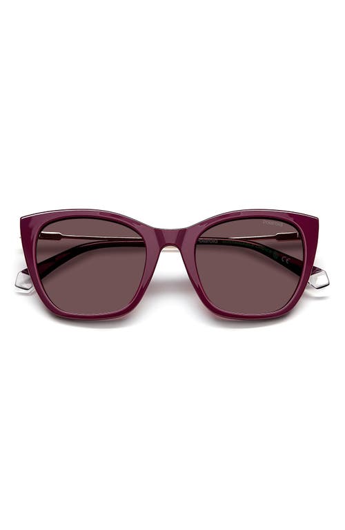 52mm Polarized Cat Eye Sunglasses in Violet/Violet Polarized