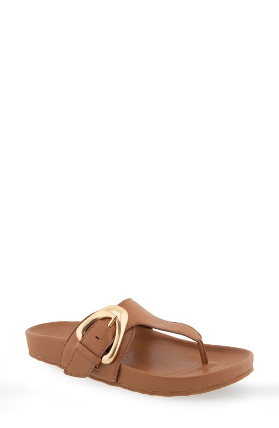 Shop Aerosoles Lloyd Buckle Sandal In Tan Leather