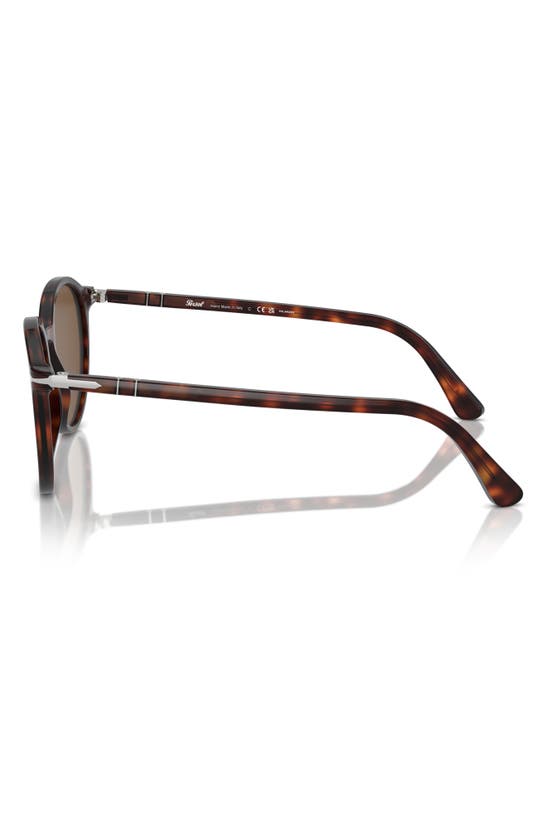 Persol Phantos 56mm Polarized Round Sunglasses In Havana