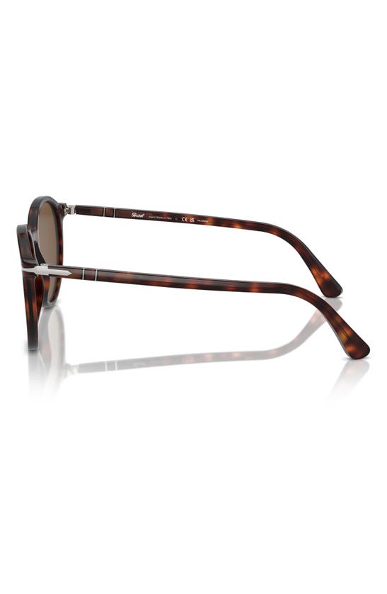 Shop Persol Phantos 56mm Polarized Round Sunglasses In Havana