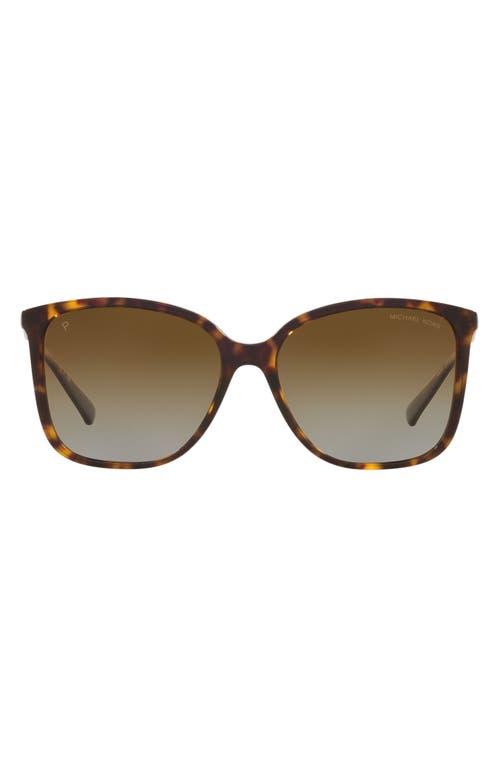 Michael Kors Avellino 56mm Square Polarized Sunglasses in Dk Tort
