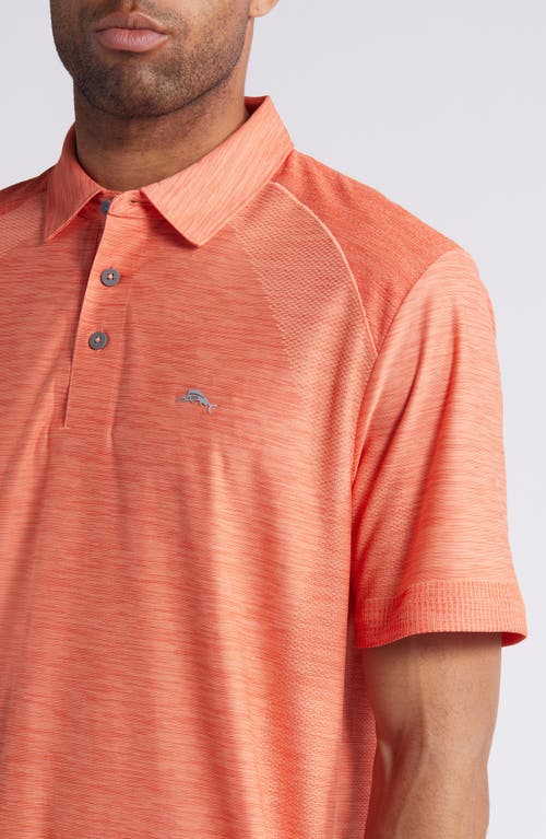 Shop Tommy Bahama Palm Coast Pro Solid Polo In Lava Burst