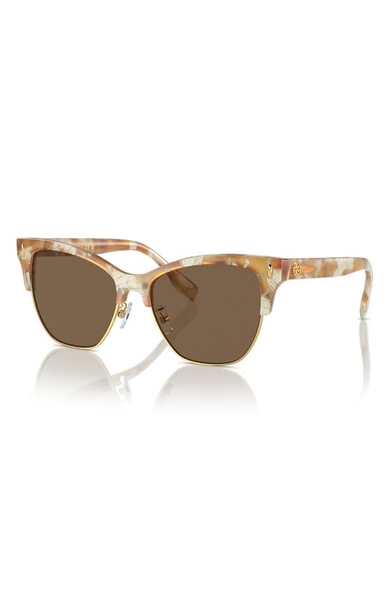 Tory Burch T-monogram Acetate & Plastic Cat-eye Sunglasses In Dark Brown