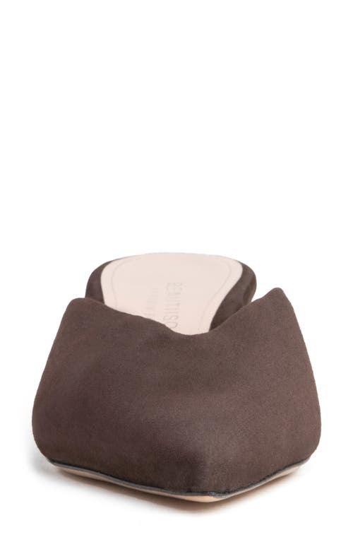 Beautiisoles Gal Pointed Toe Kitten Heel Mule In Brown