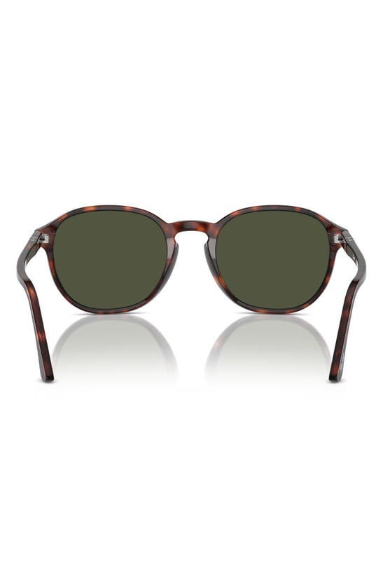 Persol 55mm Pillow Sunglasses In Havana