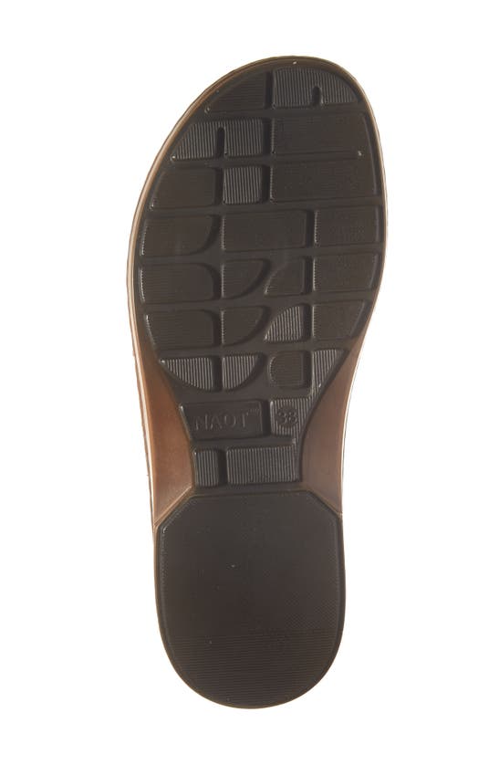 Shop Naot Castelo Sandal In Khaki Beige Leather