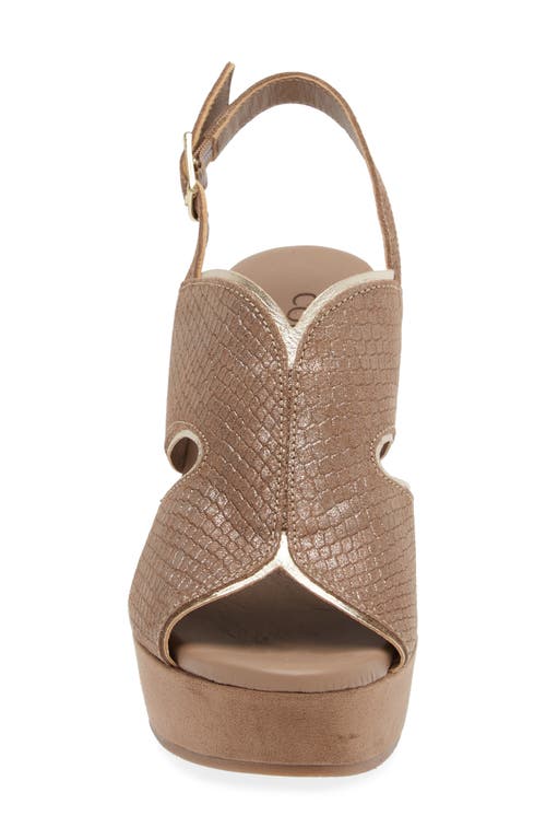Cordani Toni Slingback Sandal In Fango Shimmer