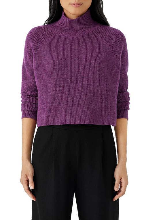 Eileen Fisher Merino Wool Crop Turtleneck Sweater in Plum Blossom at Nordstrom, Size X-Large