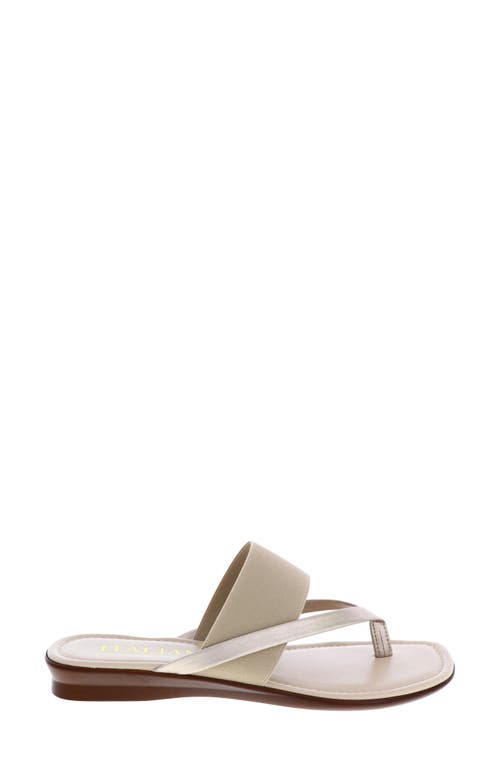 Italian Shoemakers Felia Flip Flop In Taupe