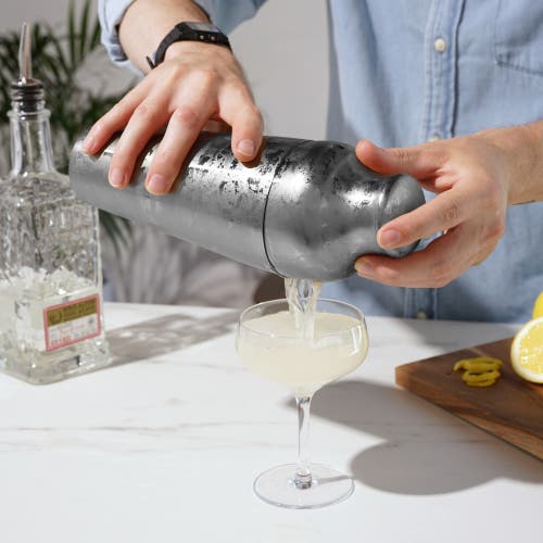 Viski Harrison Parisian Cocktail Shaker In Harrison