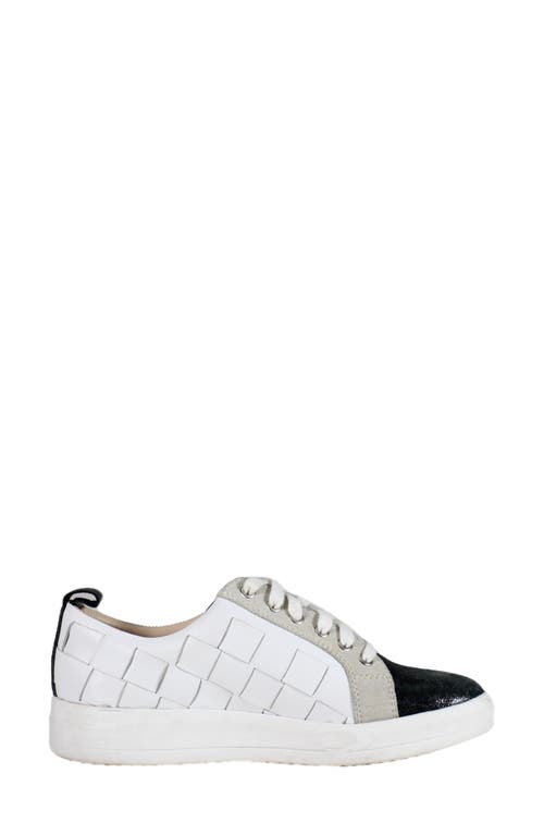 Shop Diba True Yuli Ana Sneaker In Black/white