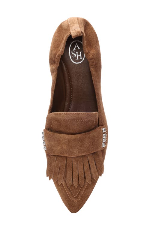 Ash Blitz Pointed Toe Loafer In Land
