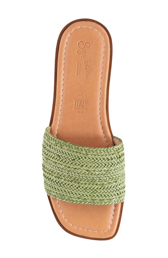 Seychelles Palms Perfection Slide Sandal In Green