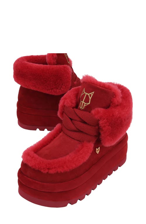 Shop Naked Wolfe Bambi Genuine Shearling Platform Bootie In Burgundy-suede/shearling