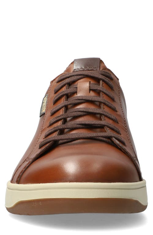 Mephisto Hasko Low Top Sneaker In Hazelnut