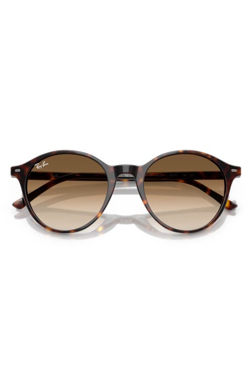 Ray Ban Ray-ban Phantos 53mm Round Gradient Sunglasses In Havana