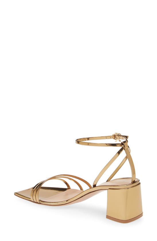 Shop Gianvito Rossi Brielle Ankle Strap Sandal In Mekong