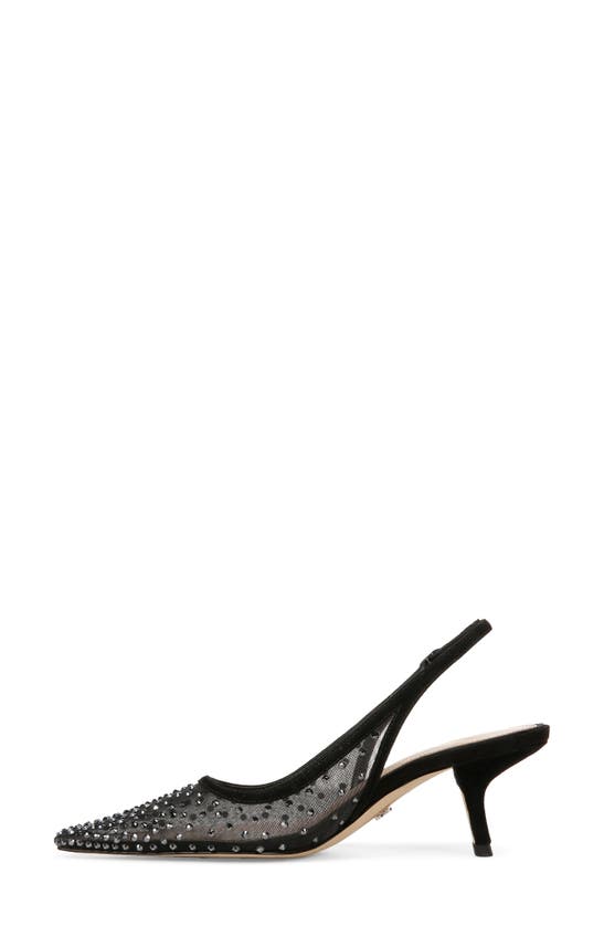 Shop Sam Edelman Bianka Slingback Mesh Pointed Toe Pump In Black