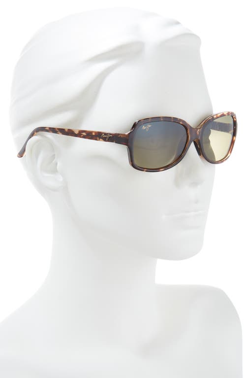 Maui Jim Core 56mm Polarized Round Sunglasses In Tortoise Tortoise Green