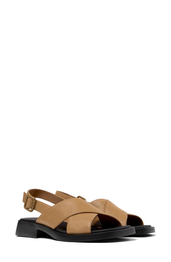 Shop Camper Dana Slingblack Sandal In Medium Brown