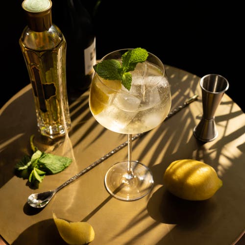 Viski Angled Crystal Amaro Spritz Glasses In Clear